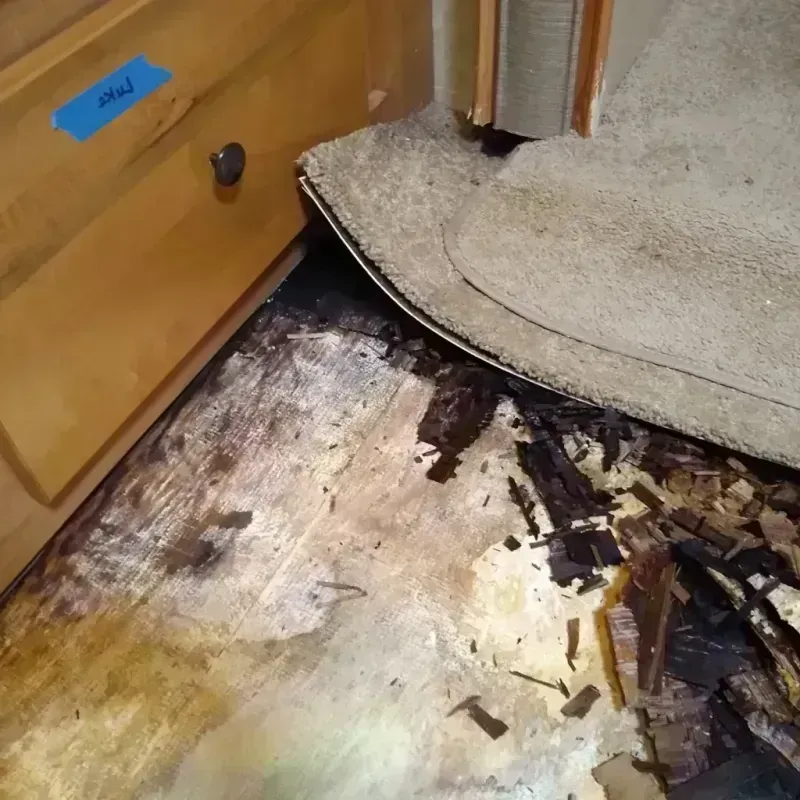 Wood Floor Water Damage in Cannon Beach, OR